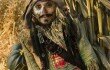 Jack-Sparrow-Scarecrow--42761