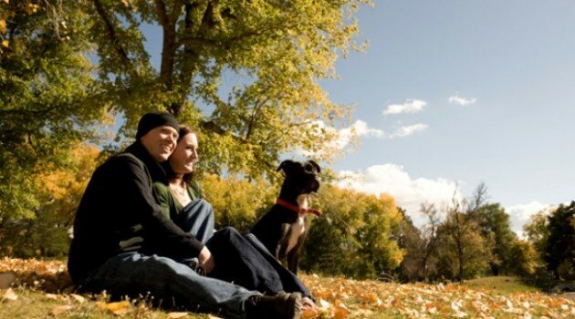 Have fun with your date this fall by trying some of these date ideas!