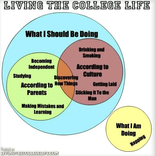College Life Meme