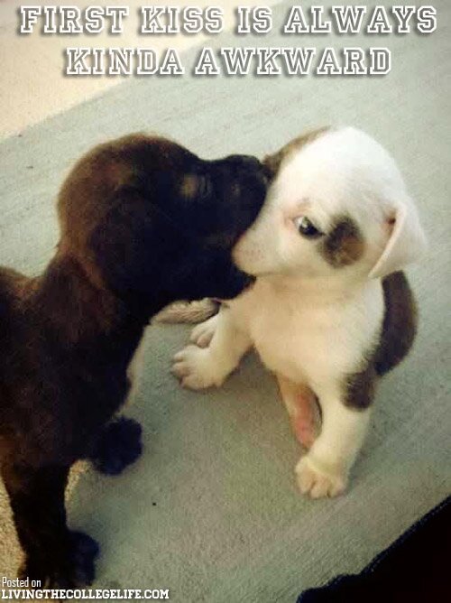 first kiss is always kinda awkward Hilarious College Meme Compilation (37 Photos)