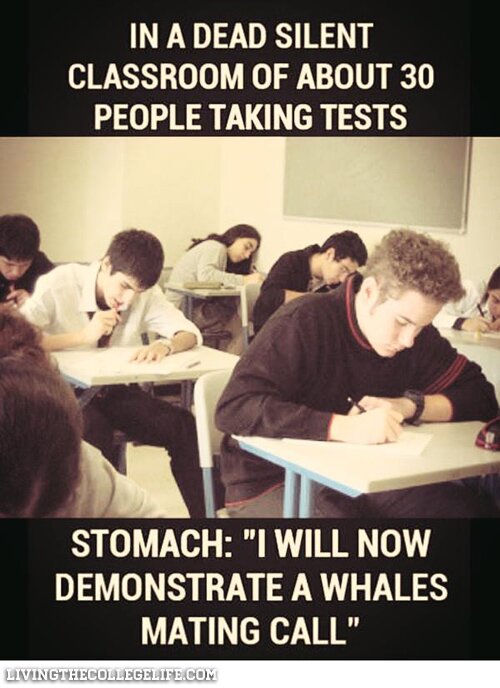 FUNNY COLLEGE MEMES TAKING A TEST