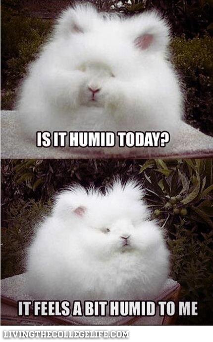 FUNNY COLLEGE MEMES HUMID OUTSIDE 
